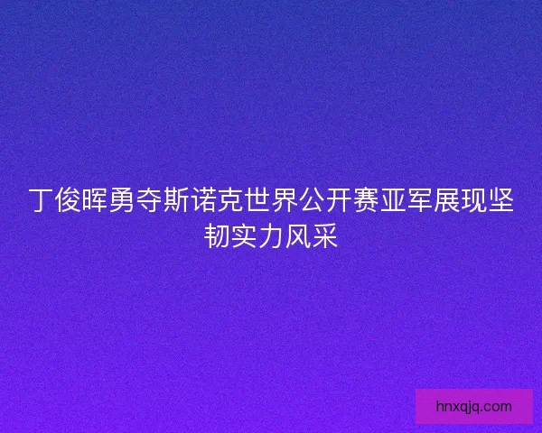 丁俊晖勇夺斯诺克世界公开赛亚军展现坚韧实力风采