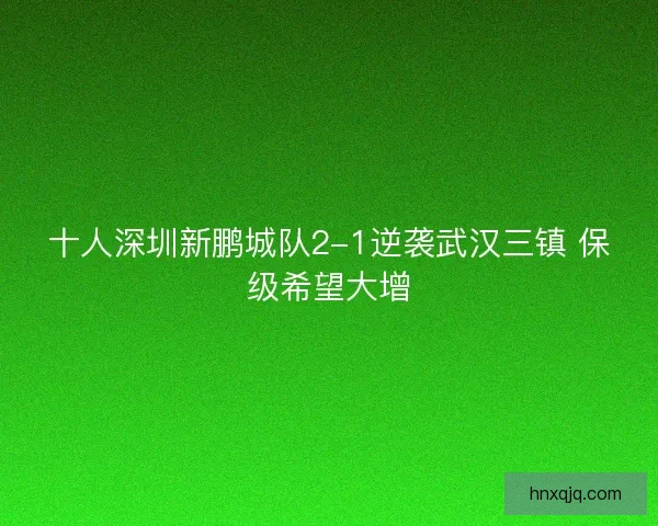 十人深圳新鹏城队2-1逆袭武汉三镇 保级希望大增 十人深圳新鹏城队2-1逆袭武汉三镇 保级希望大增